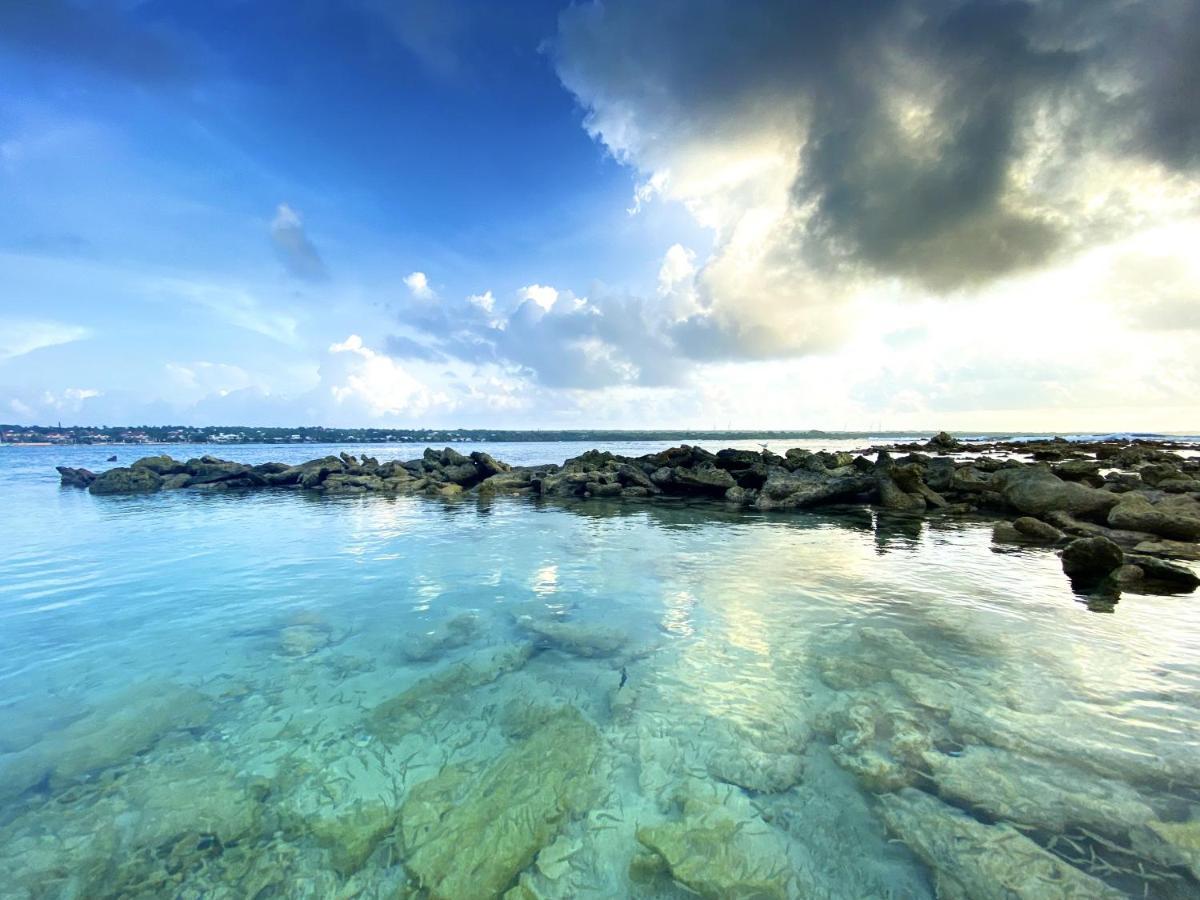 Le Paradis Zen 1Er Etage Et Rdc Vue Plage Et Mer Ste Anne Sainte-Anne  Zewnętrze zdjęcie