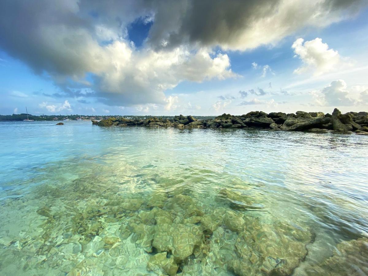 Le Paradis Zen 1Er Etage Et Rdc Vue Plage Et Mer Ste Anne Sainte-Anne  Zewnętrze zdjęcie