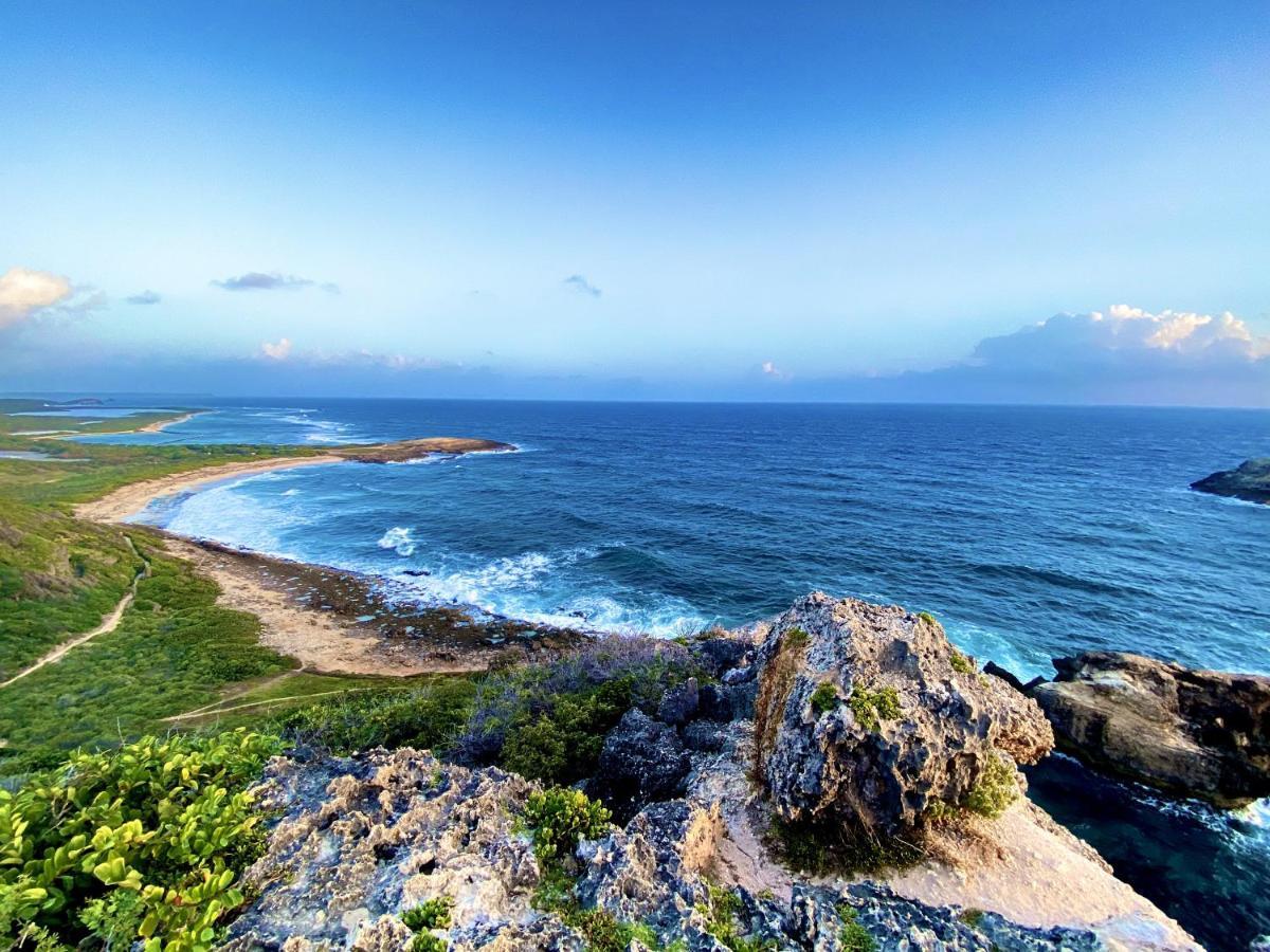 Le Paradis Zen 1Er Etage Et Rdc Vue Plage Et Mer Ste Anne Sainte-Anne  Zewnętrze zdjęcie