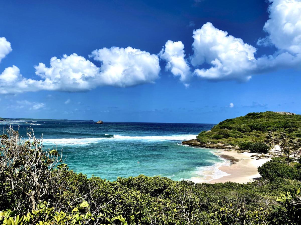 Le Paradis Zen 1Er Etage Et Rdc Vue Plage Et Mer Ste Anne Sainte-Anne  Zewnętrze zdjęcie