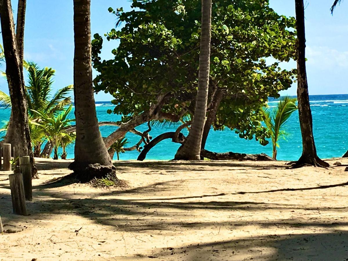 Le Paradis Zen 1Er Etage Et Rdc Vue Plage Et Mer Ste Anne Sainte-Anne  Zewnętrze zdjęcie