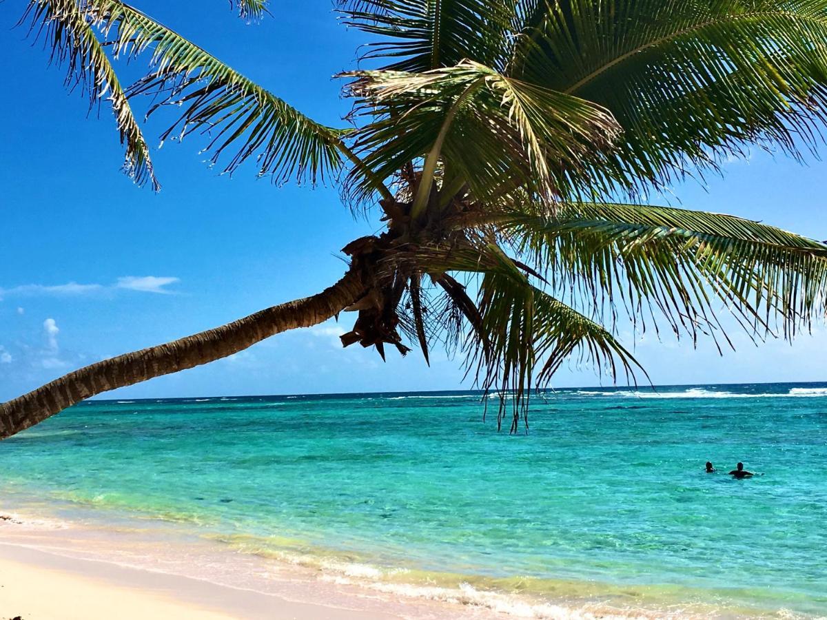 Le Paradis Zen 1Er Etage Et Rdc Vue Plage Et Mer Ste Anne Sainte-Anne  Zewnętrze zdjęcie