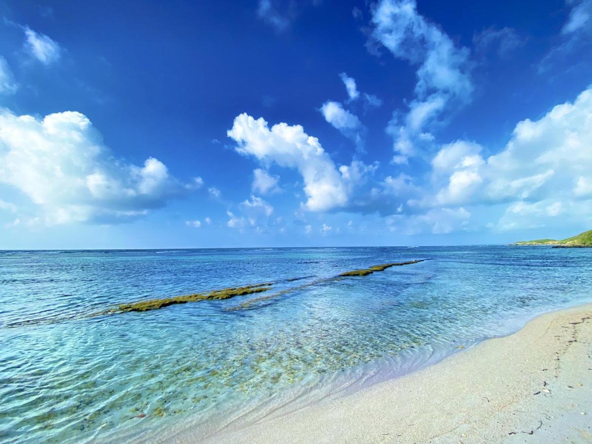 Le Paradis Zen 1Er Etage Et Rdc Vue Plage Et Mer Ste Anne Sainte-Anne  Zewnętrze zdjęcie