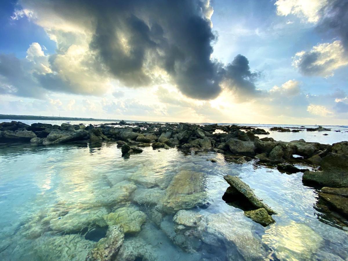 Le Paradis Zen 1Er Etage Et Rdc Vue Plage Et Mer Ste Anne Sainte-Anne  Zewnętrze zdjęcie