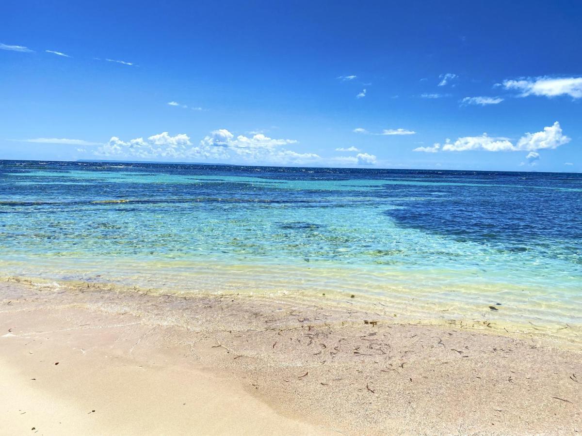 Le Paradis Zen 1Er Etage Et Rdc Vue Plage Et Mer Ste Anne Sainte-Anne  Zewnętrze zdjęcie