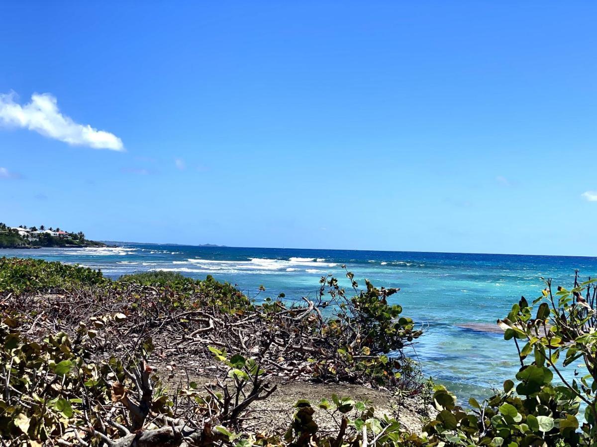 Le Paradis Zen 1Er Etage Et Rdc Vue Plage Et Mer Ste Anne Sainte-Anne  Zewnętrze zdjęcie