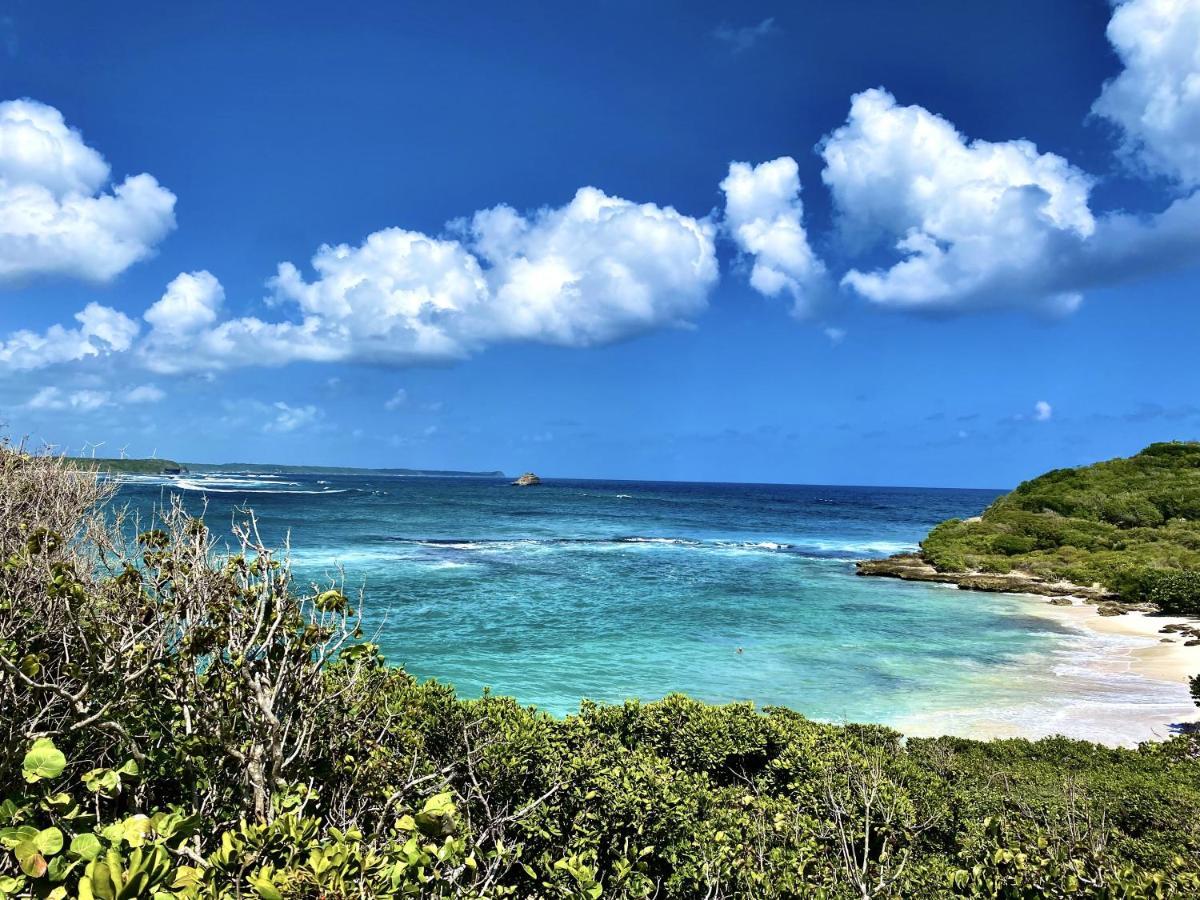 Le Paradis Zen 1Er Etage Et Rdc Vue Plage Et Mer Ste Anne Sainte-Anne  Zewnętrze zdjęcie