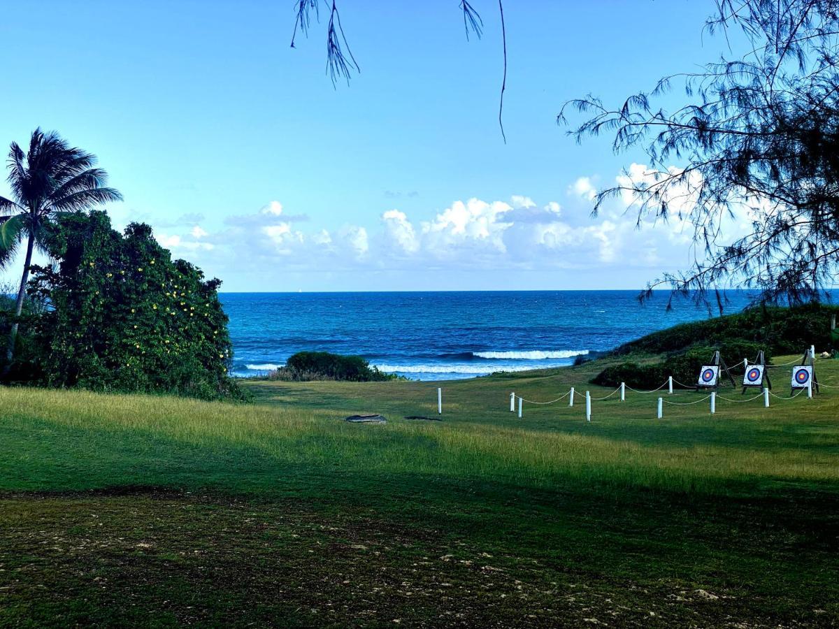 Le Paradis Zen 1Er Etage Et Rdc Vue Plage Et Mer Ste Anne Sainte-Anne  Zewnętrze zdjęcie