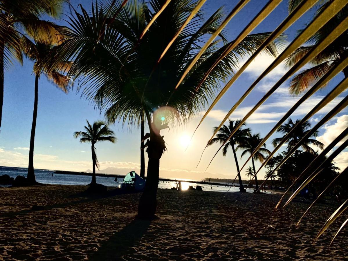 Le Paradis Zen 1Er Etage Et Rdc Vue Plage Et Mer Ste Anne Sainte-Anne  Zewnętrze zdjęcie