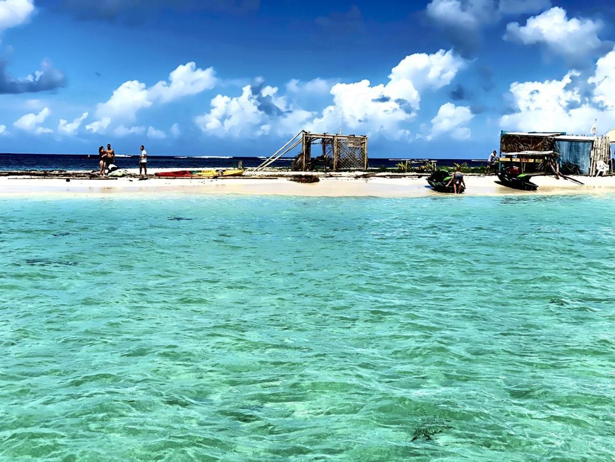 Le Paradis Zen 1Er Etage Et Rdc Vue Plage Et Mer Ste Anne Sainte-Anne  Zewnętrze zdjęcie