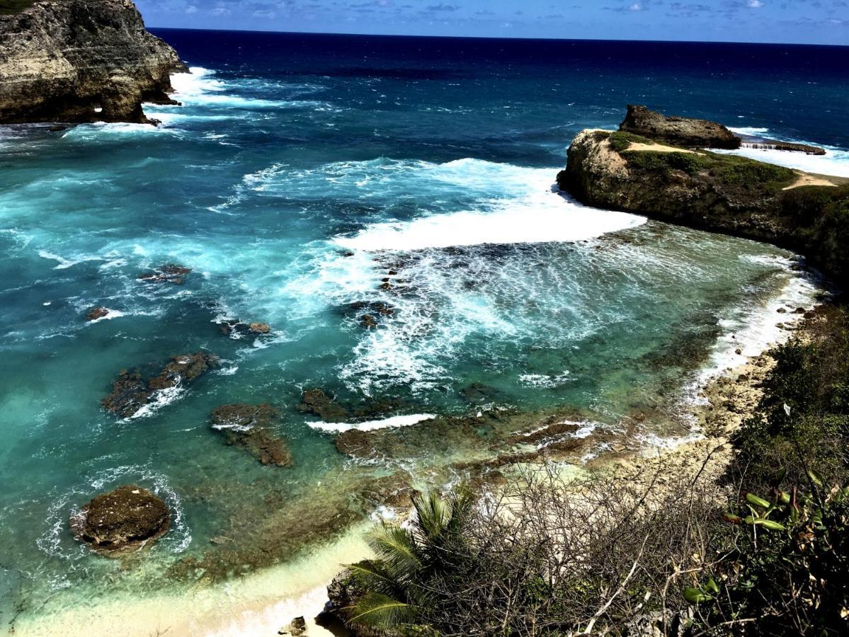 Le Paradis Zen 1Er Etage Et Rdc Vue Plage Et Mer Ste Anne Sainte-Anne  Zewnętrze zdjęcie