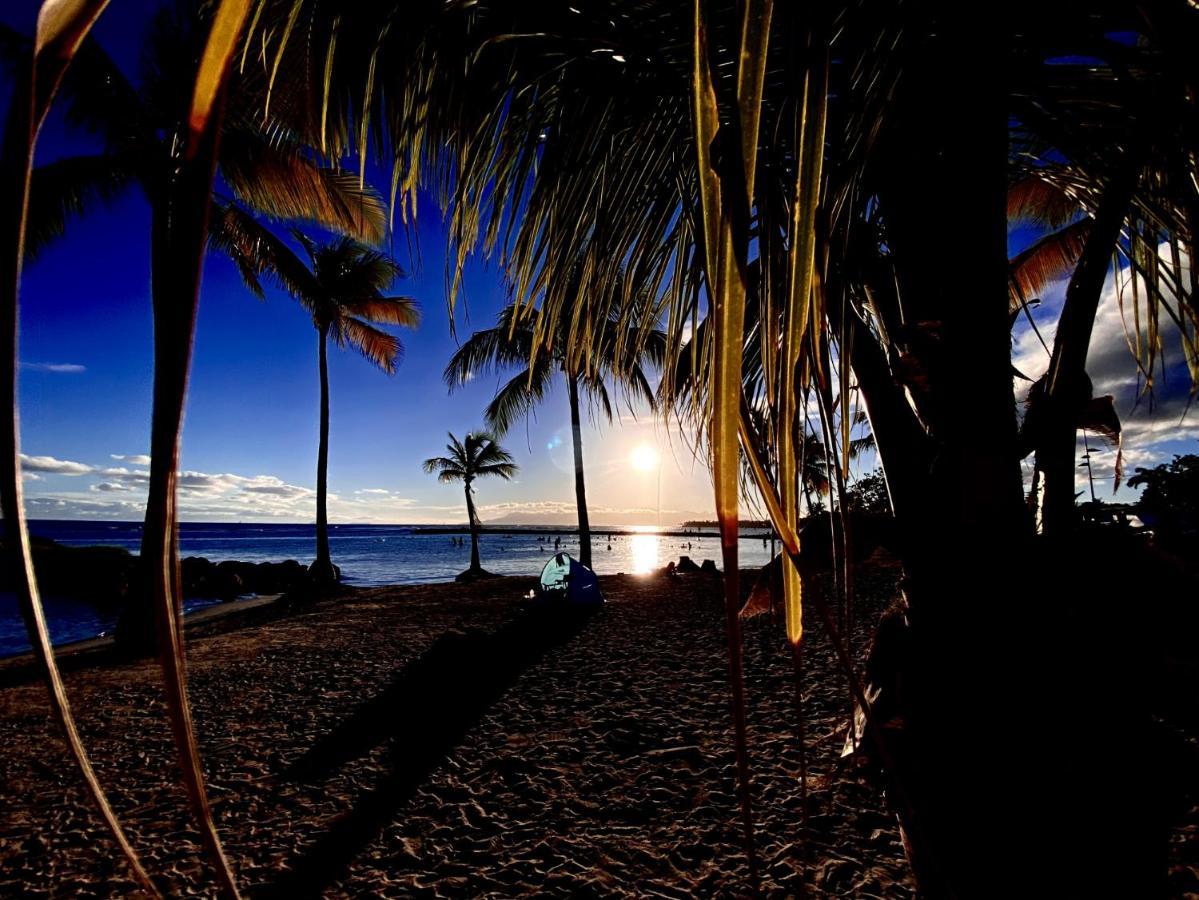 Le Paradis Zen 1Er Etage Et Rdc Vue Plage Et Mer Ste Anne Sainte-Anne  Zewnętrze zdjęcie