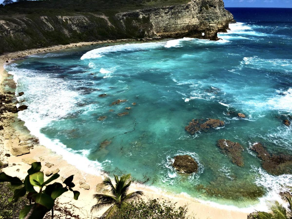 Le Paradis Zen 1Er Etage Et Rdc Vue Plage Et Mer Ste Anne Sainte-Anne  Zewnętrze zdjęcie