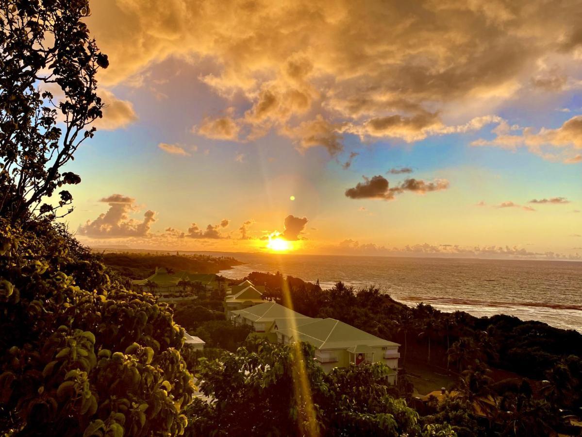 Le Paradis Zen 1Er Etage Et Rdc Vue Plage Et Mer Ste Anne Sainte-Anne  Zewnętrze zdjęcie