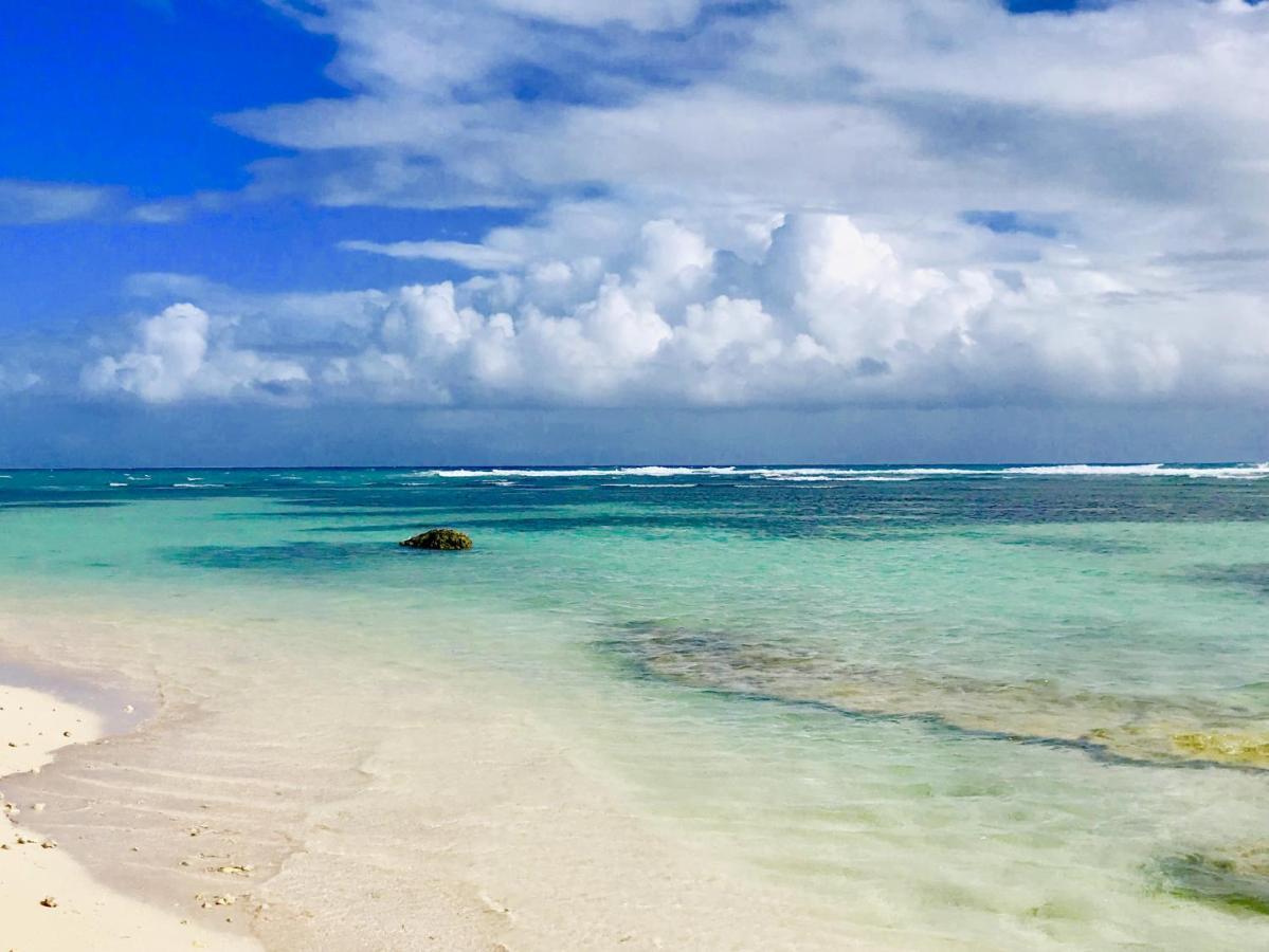 Le Paradis Zen 1Er Etage Et Rdc Vue Plage Et Mer Ste Anne Sainte-Anne  Zewnętrze zdjęcie