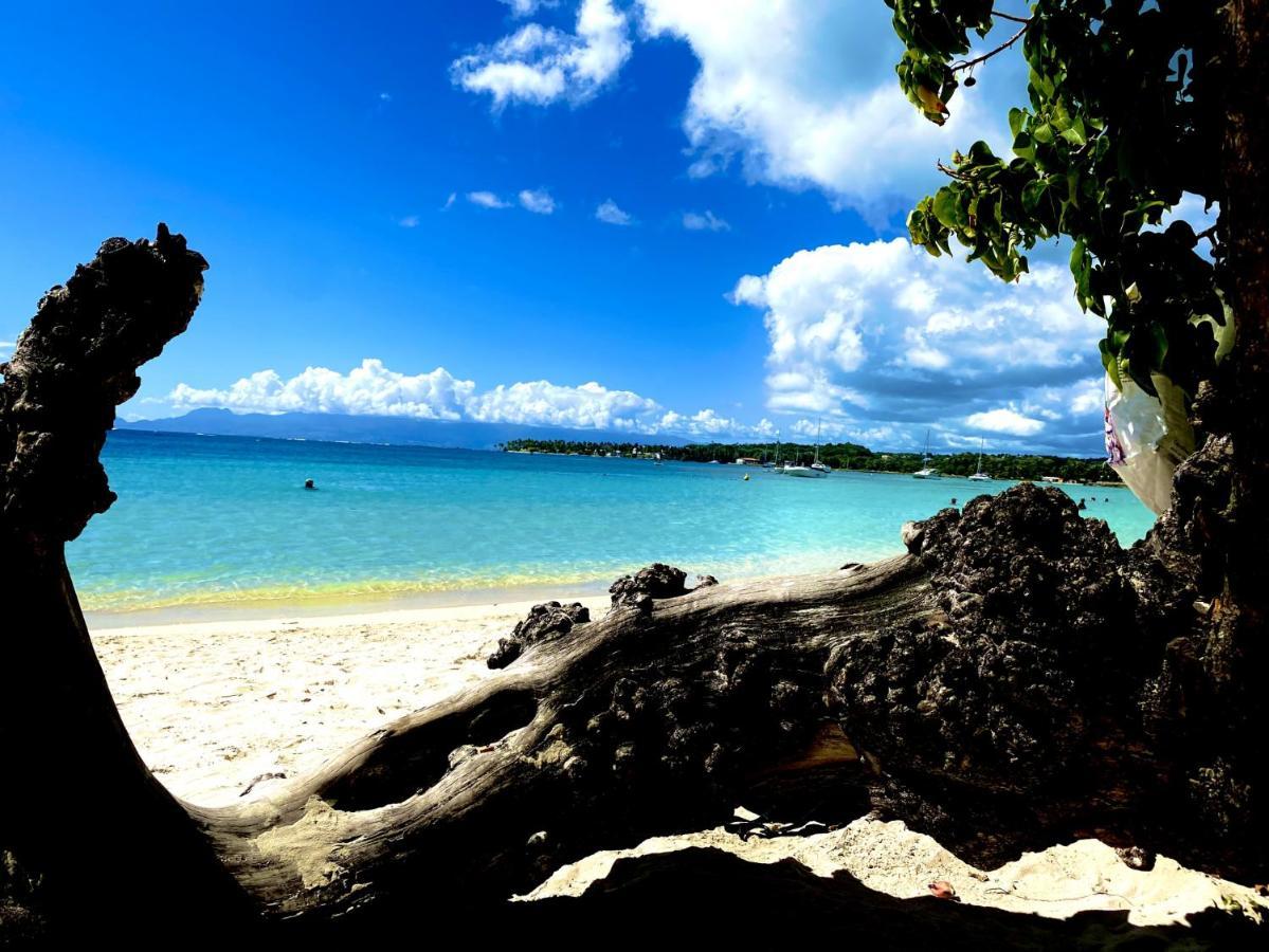 Le Paradis Zen 1Er Etage Et Rdc Vue Plage Et Mer Ste Anne Sainte-Anne  Zewnętrze zdjęcie