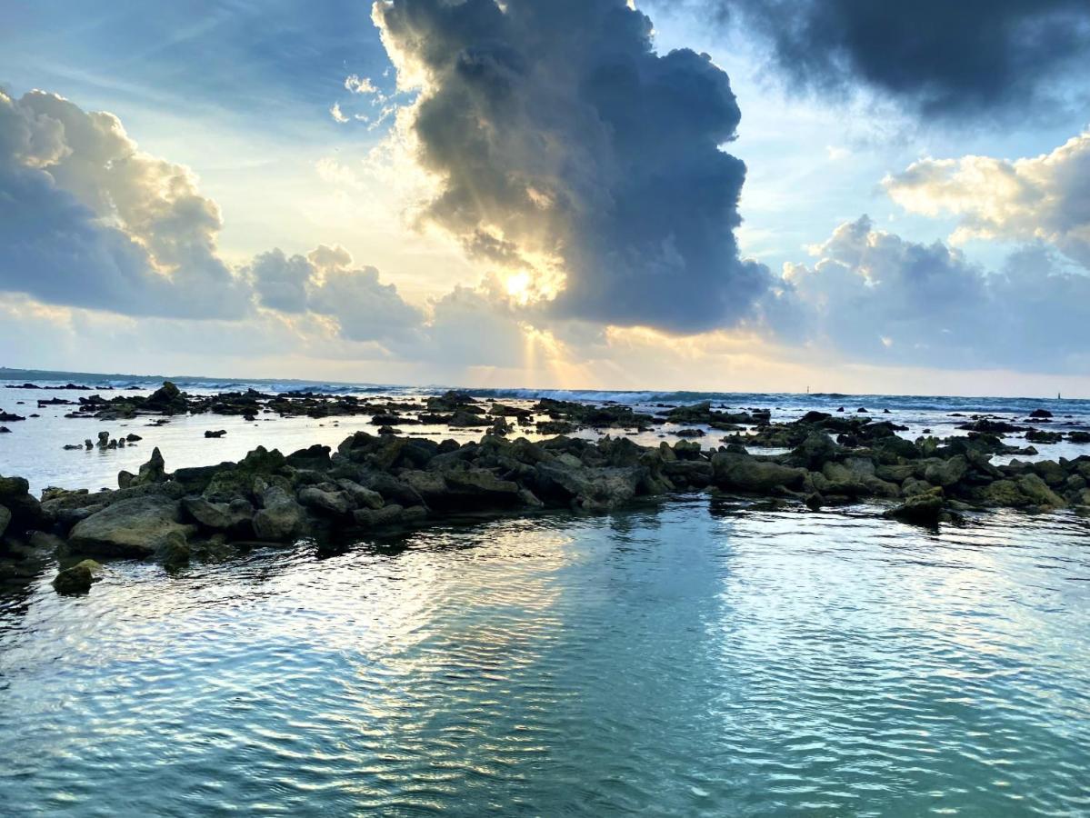 Le Paradis Zen 1Er Etage Et Rdc Vue Plage Et Mer Ste Anne Sainte-Anne  Zewnętrze zdjęcie